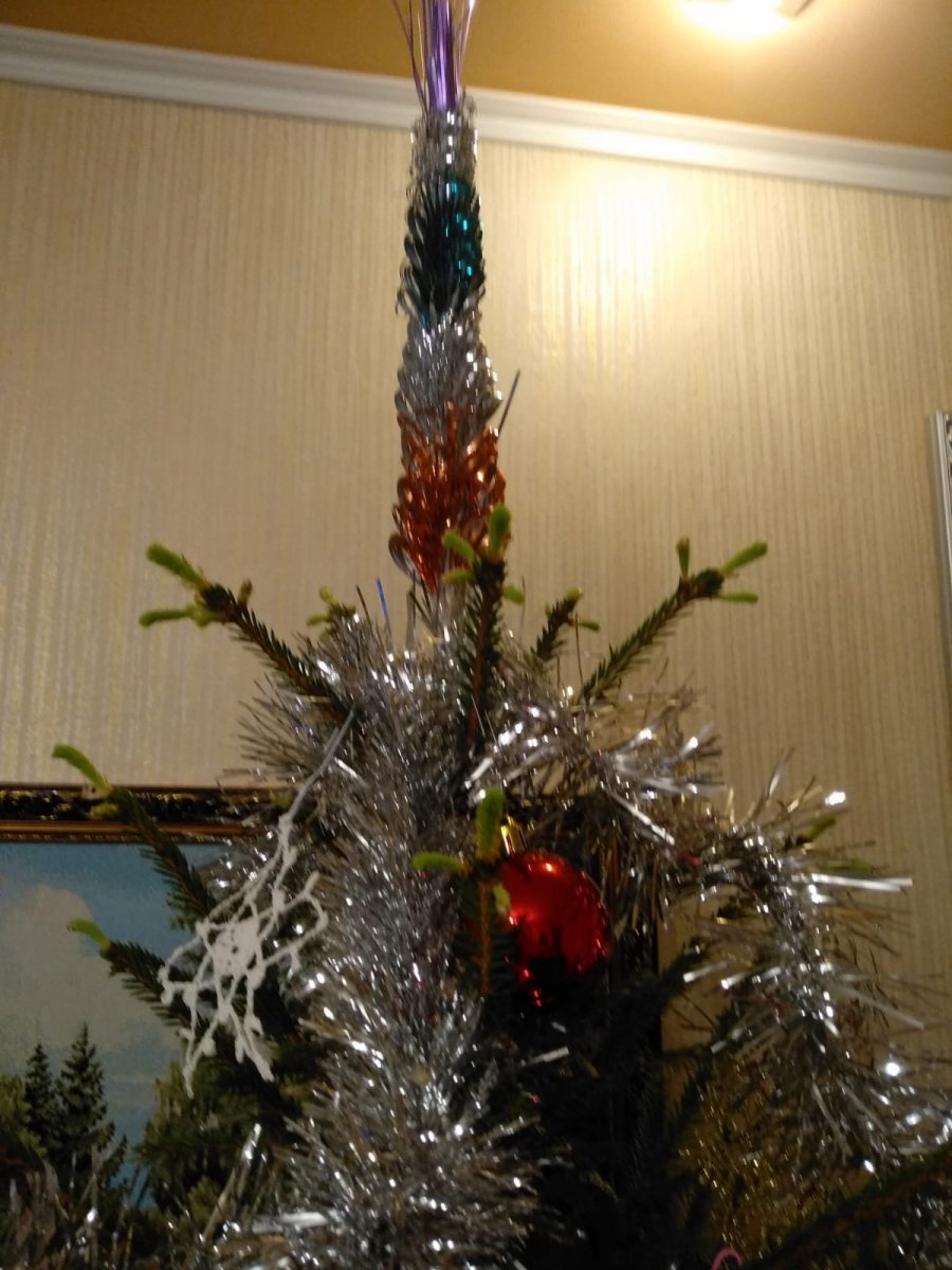 WhatsApp Image 2023-01-19 at 10.01.51.jpeg