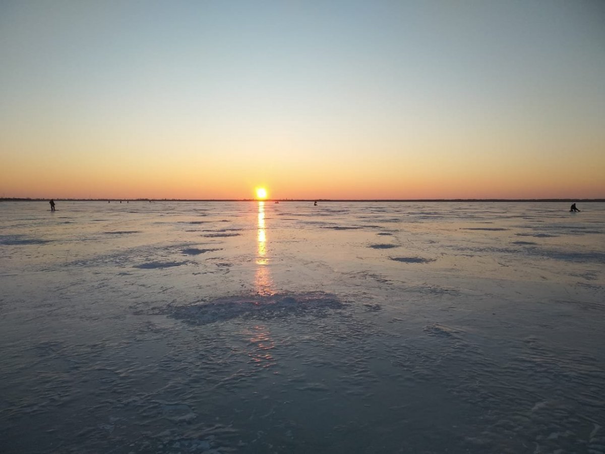 WhatsApp Image 2023-01-06 at 18.40.03.jpeg