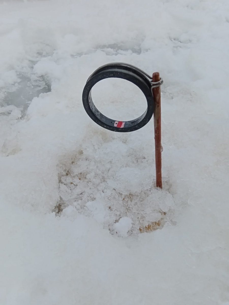 WhatsApp Image 2023-01-23 at 10.20.09.jpeg