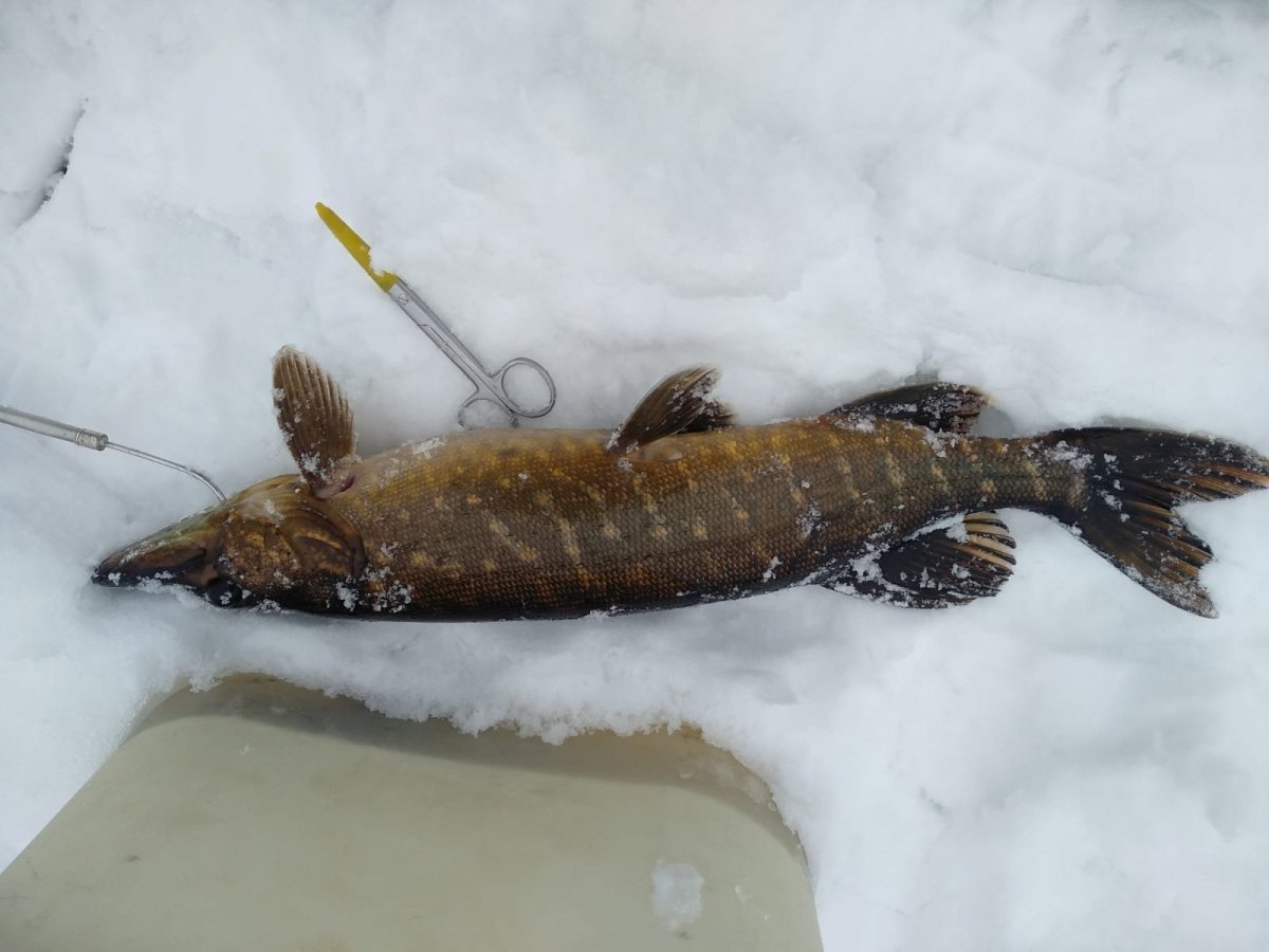 WhatsApp Image 2023-01-15 at 19.59.16.jpeg