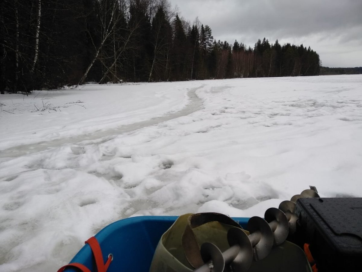 WhatsApp Image 2023-01-01 at 15.31.04.jpeg