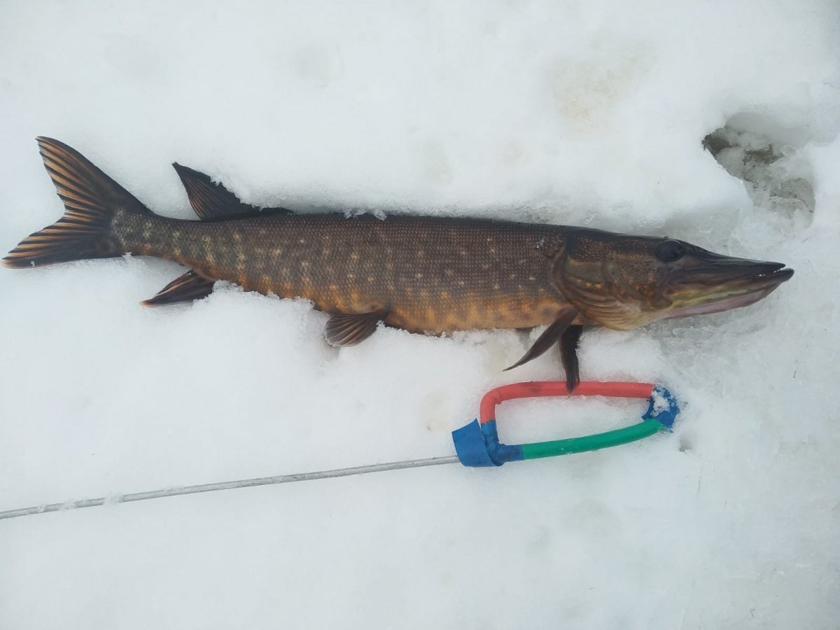 WhatsApp Image 2023-01-15 at 19.59.14(1).jpeg