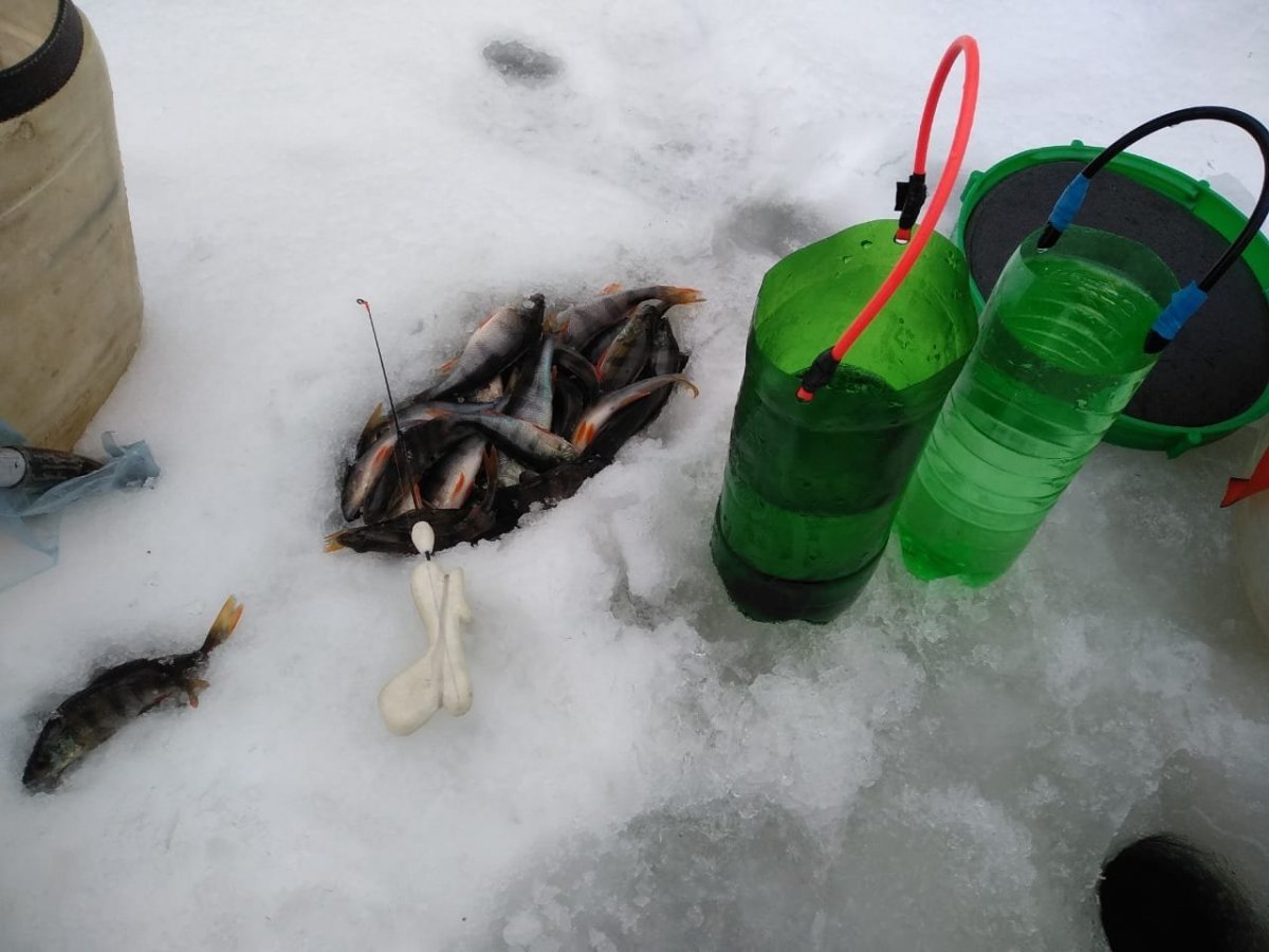 WhatsApp Image 2023-01-01 at 15.31.04(2).jpeg