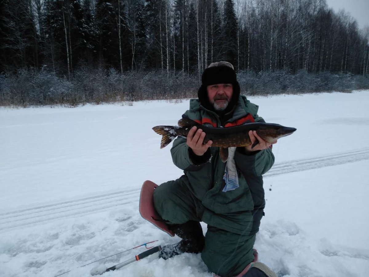 WhatsApp Image 2023-01-23 at 09.35.32(1).jpeg