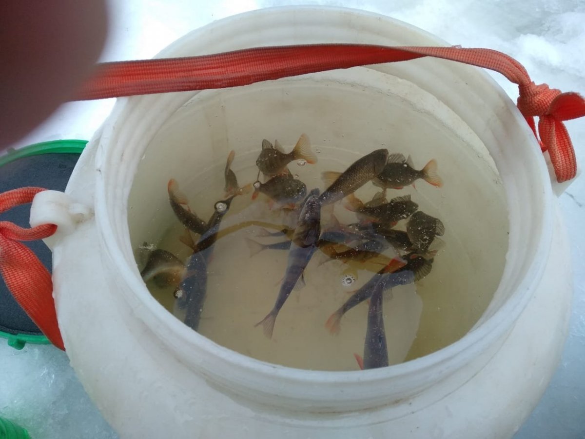 WhatsApp Image 2023-01-01 at 15.31.04(1).jpeg