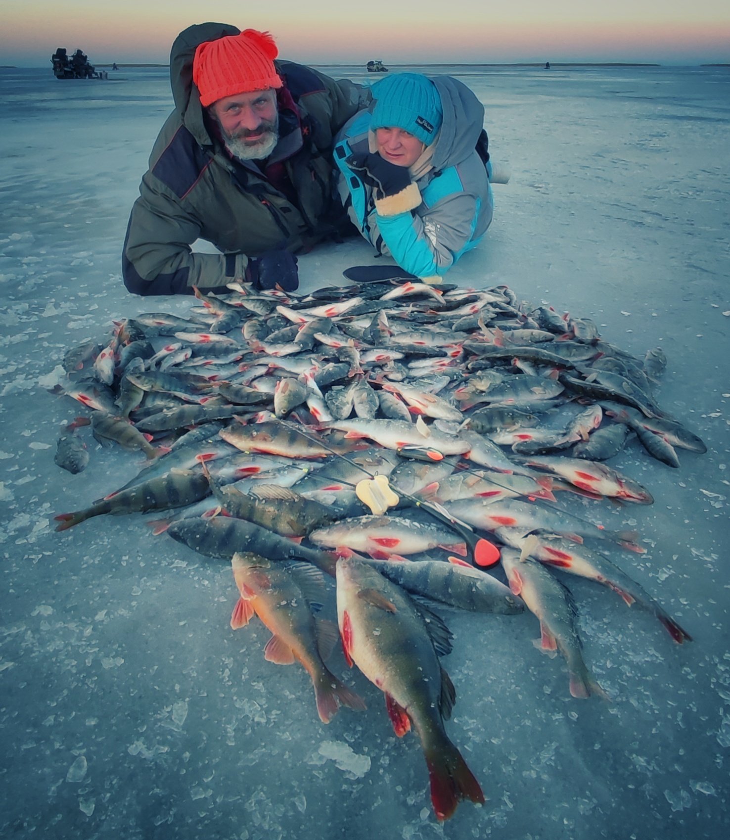 Берфишинг березники отчеты с рыбалок. Огромный окунь зимой. Зимняя рыбалка 2023. Гигантский окунь зимой.