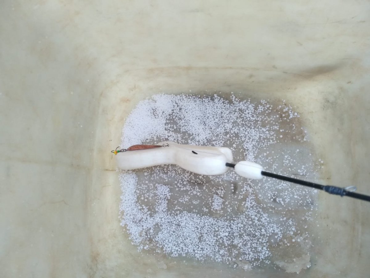 WhatsApp Image 2023-02-12 at 08.11.52(1).jpeg