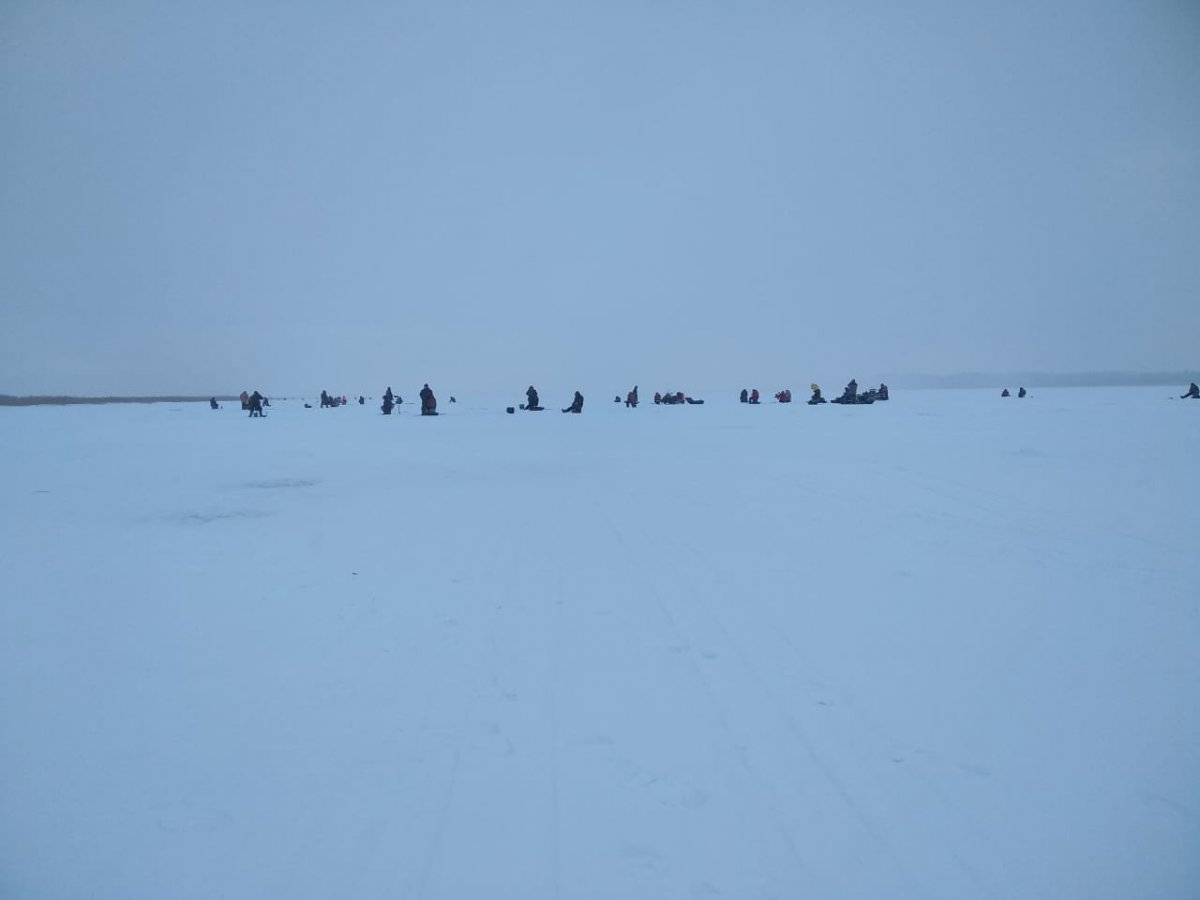 WhatsApp Image 2023-02-12 at 08.11.52.jpeg