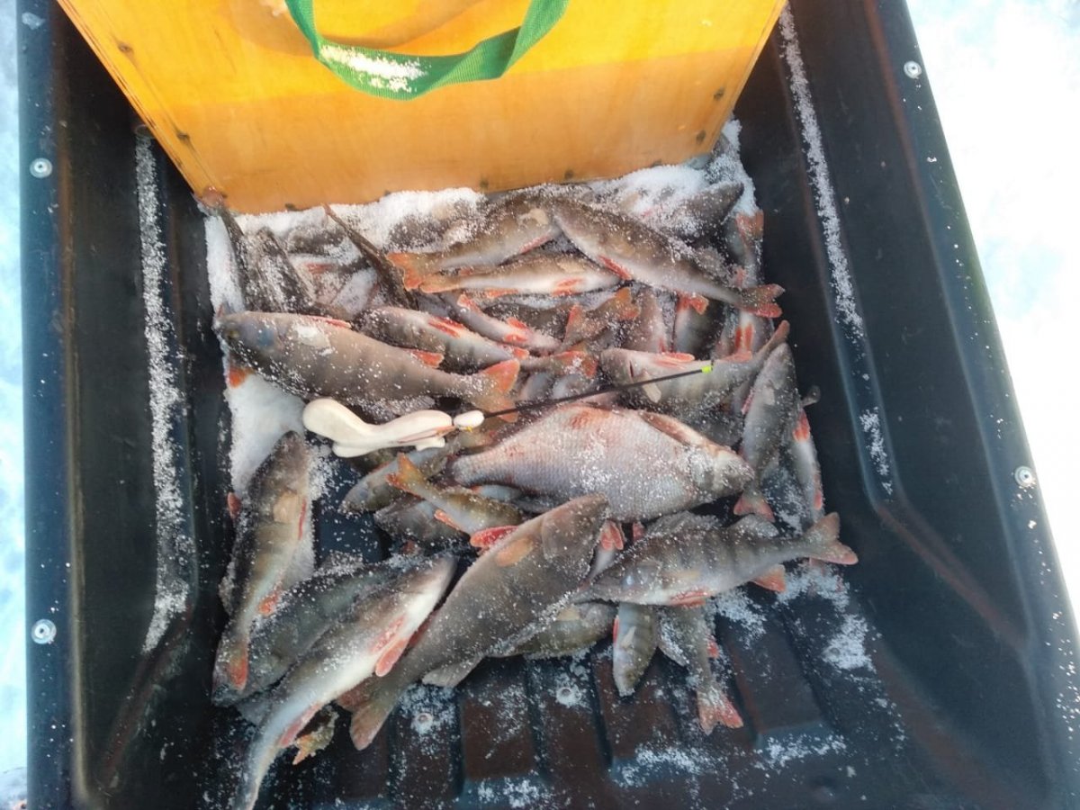 WhatsApp Image 2023-02-12 at 08.11.49.jpeg