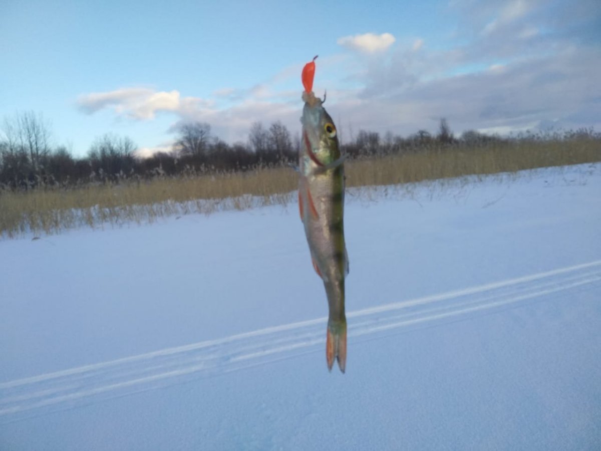 WhatsApp Image 2023-02-12 at 08.11.50.jpeg