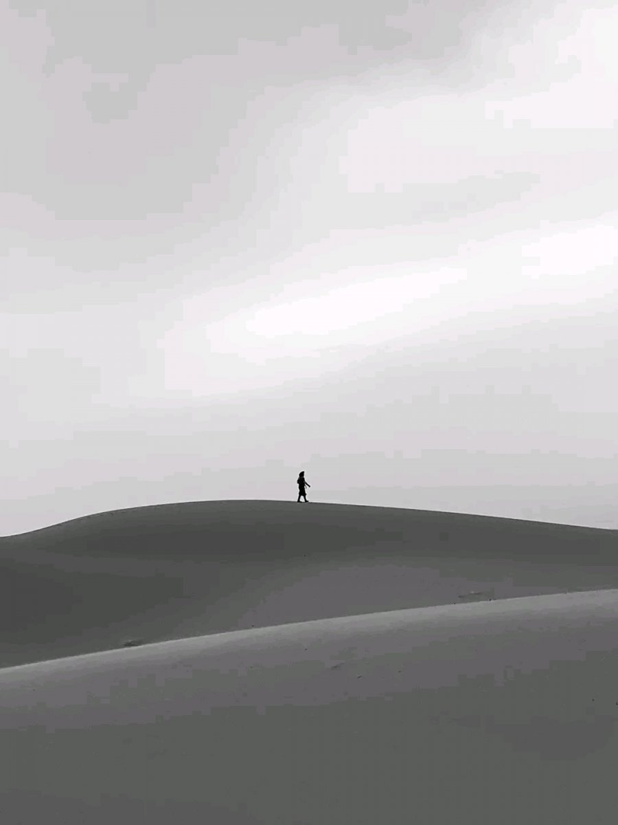 1679640165372.jpg