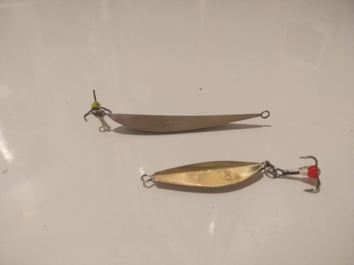 WhatsApp Image 2023-03-04 at 09.28.06(1).jpeg