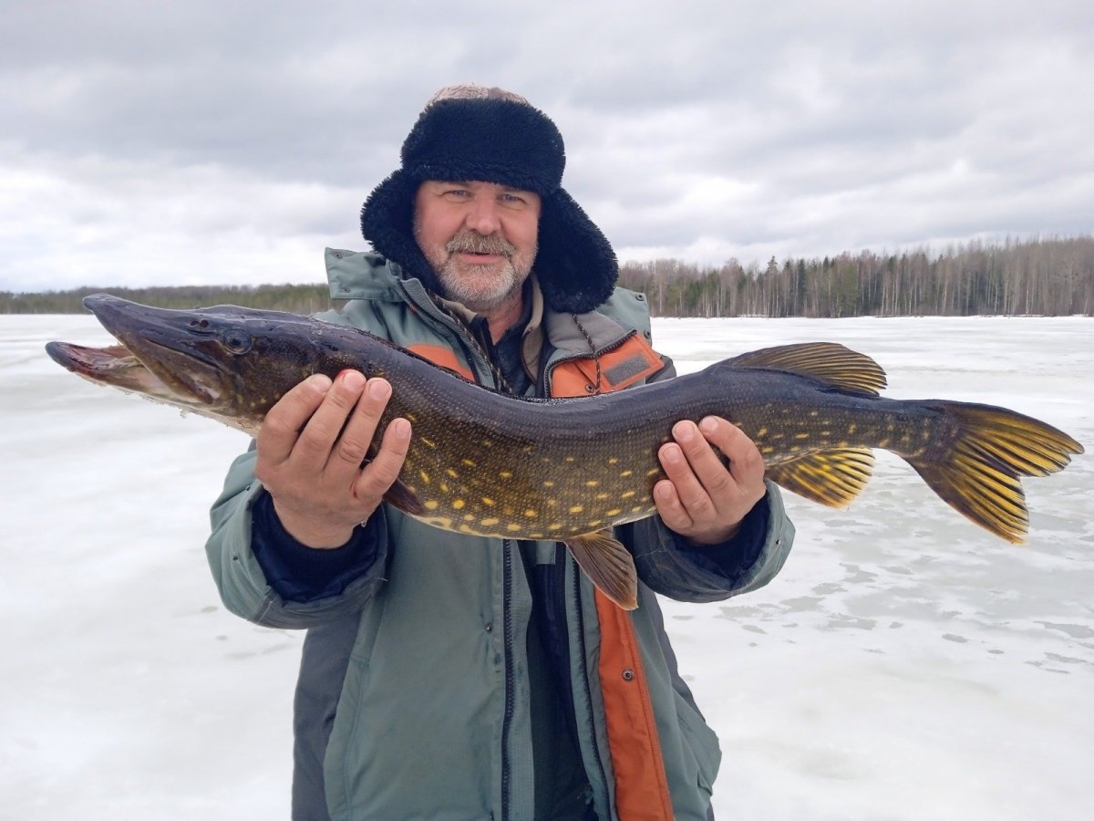 WhatsApp Image 2023-03-26 at 10.28.24(1).jpeg