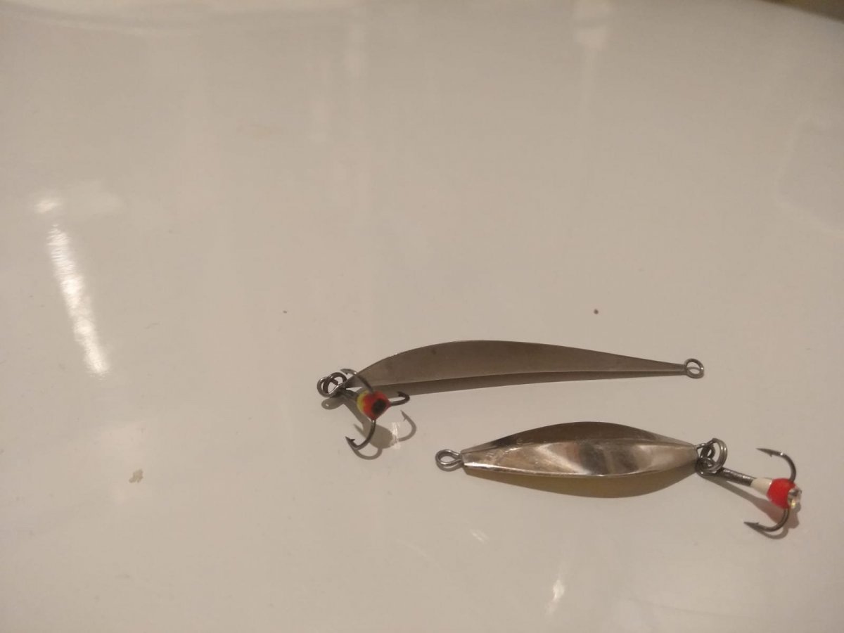 WhatsApp Image 2023-03-04 at 09.28.06.jpeg