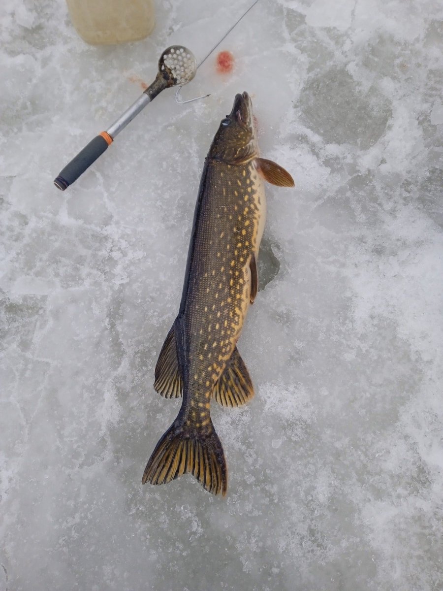 WhatsApp Image 2023-03-26 at 10.28.24.jpeg