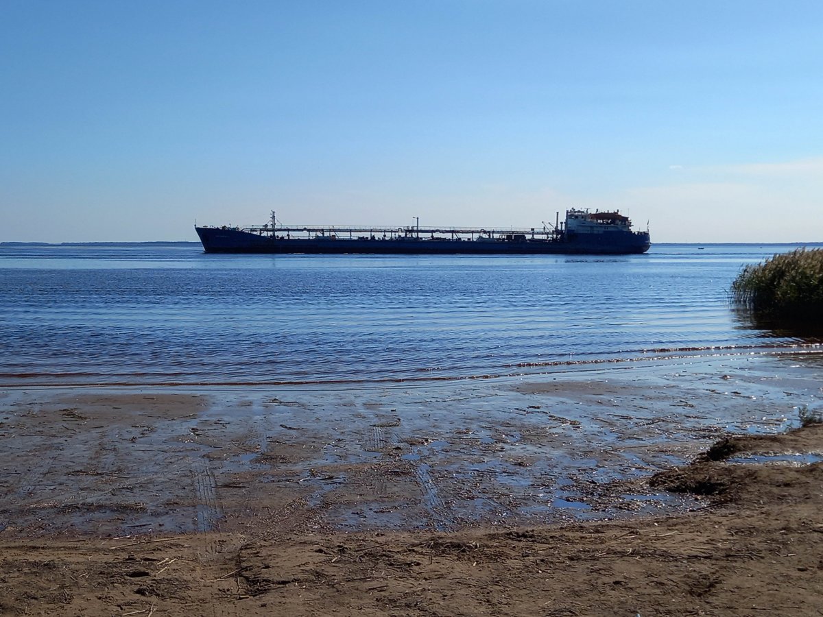 2022-09-12 11-51-36.JPG