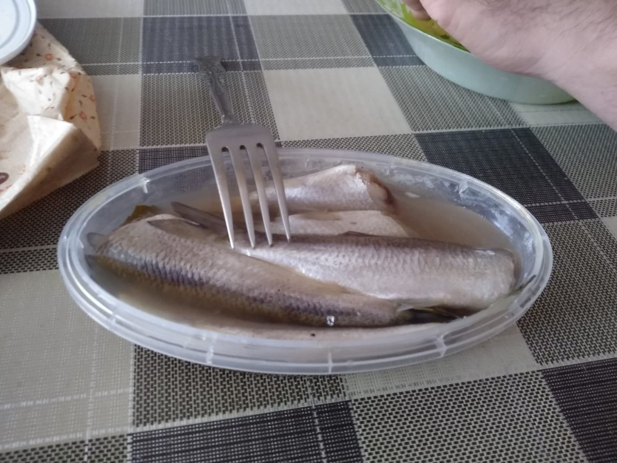 WhatsApp Image 2023-04-01 at 06.44.33(1).jpeg