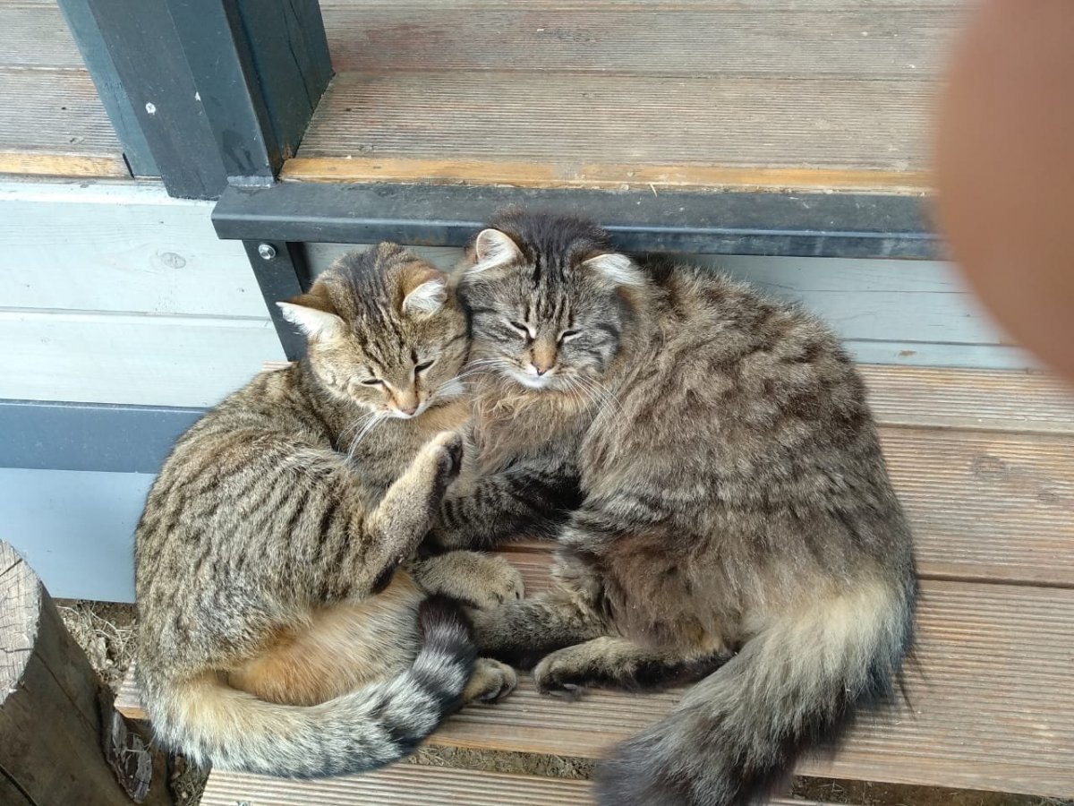 WhatsApp Image 2023-04-22 at 21.00.29.jpeg