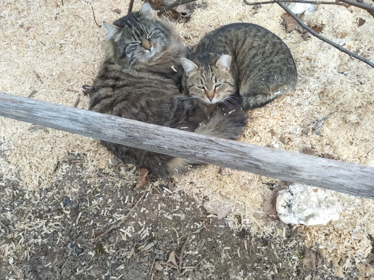 WhatsApp Image 2023-04-22 at 21.00.27.jpeg