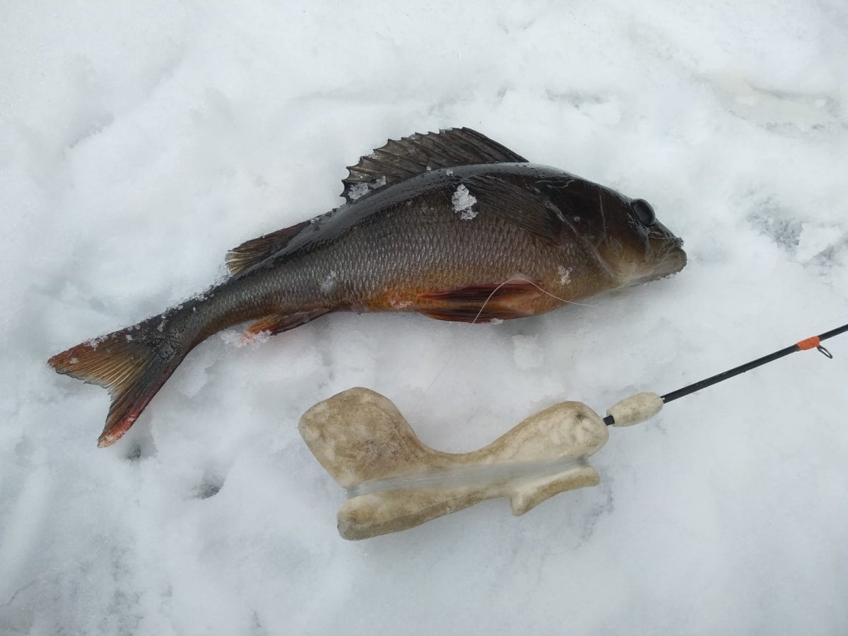 WhatsApp Image 2023-04-01 at 06.44.32(1).jpeg