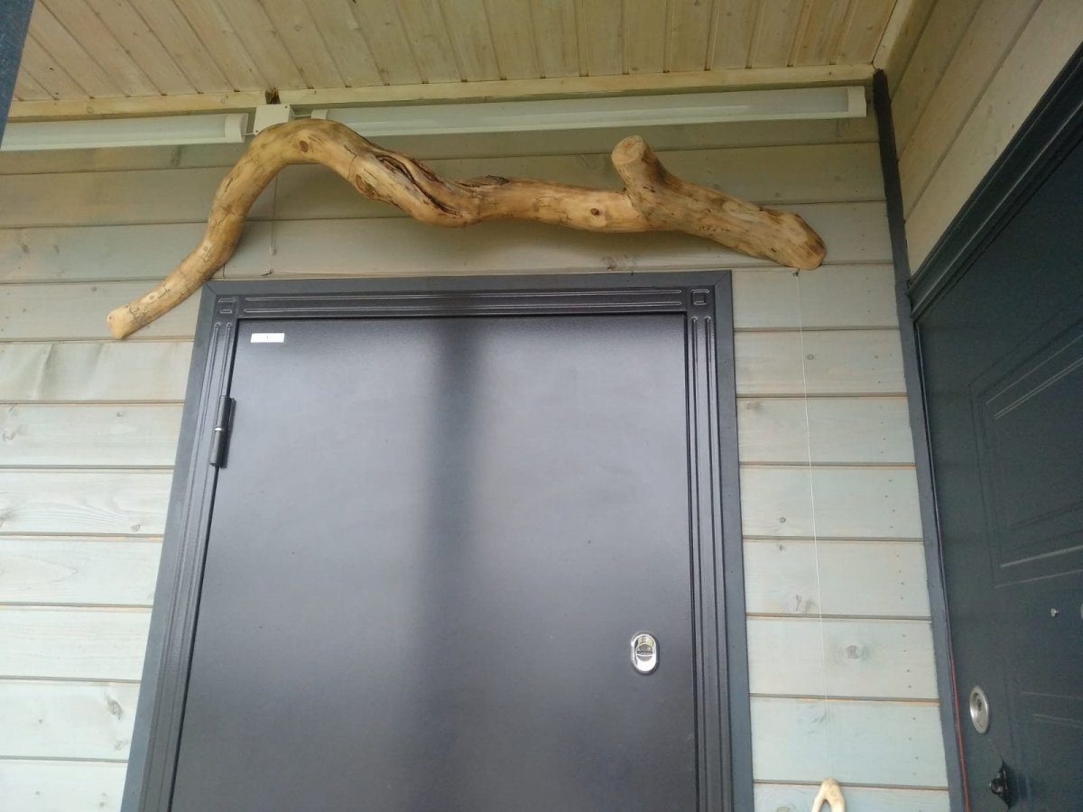 WhatsApp Image 2023-04-29 at 09.21.19.jpeg