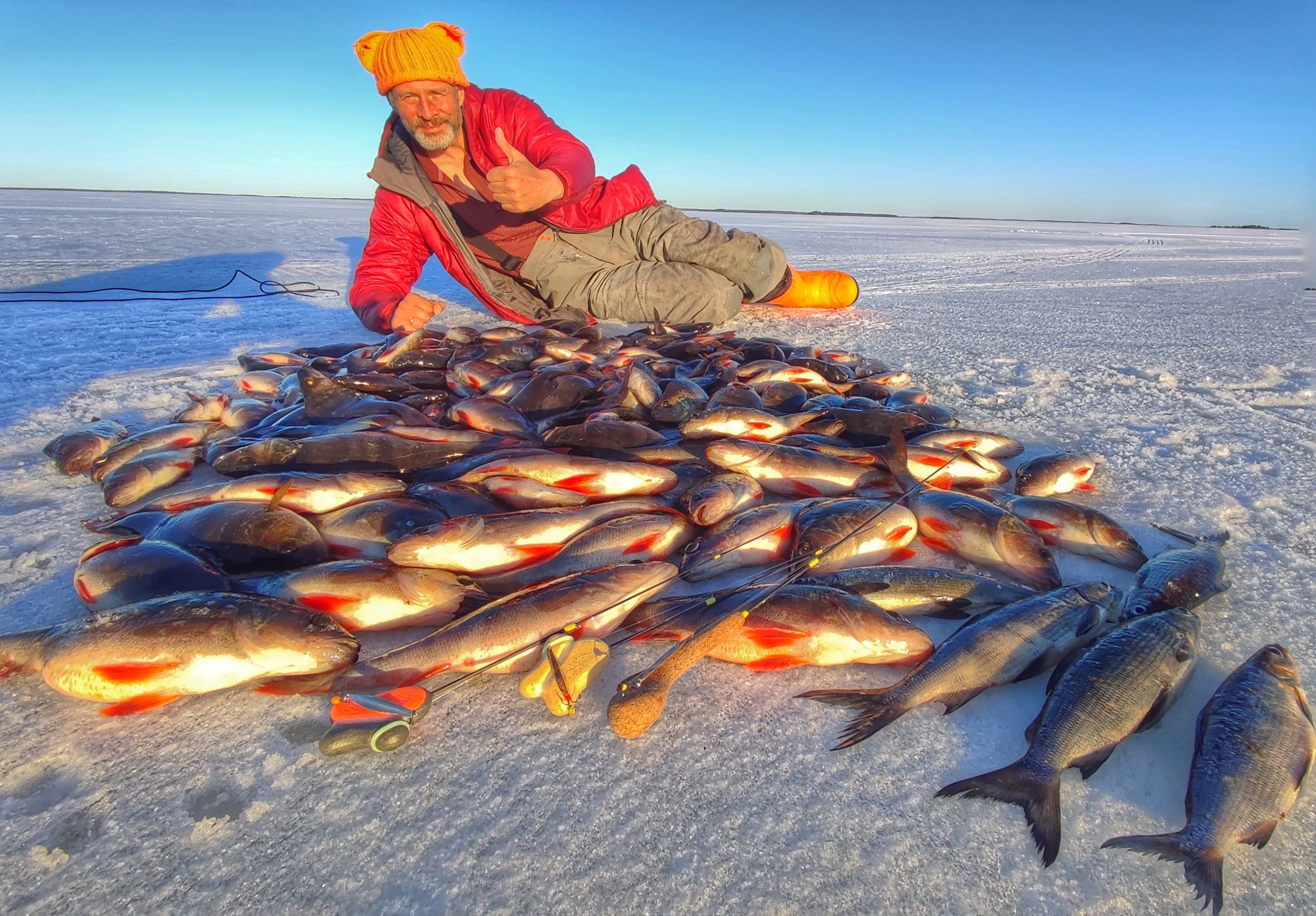 Зимняя рыбалка Мурманск. Рыбалка на севере Главная страница. Межура карась зимой. Отпускает рыбу. Мурманск промысел
