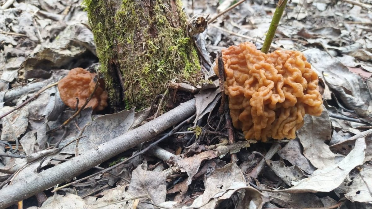 WhatsApp Image 2023-05-07 at 22.20.07.jpeg