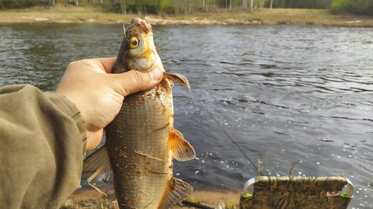 WhatsApp Image 2023-05-09 at 15.19.03.jpeg