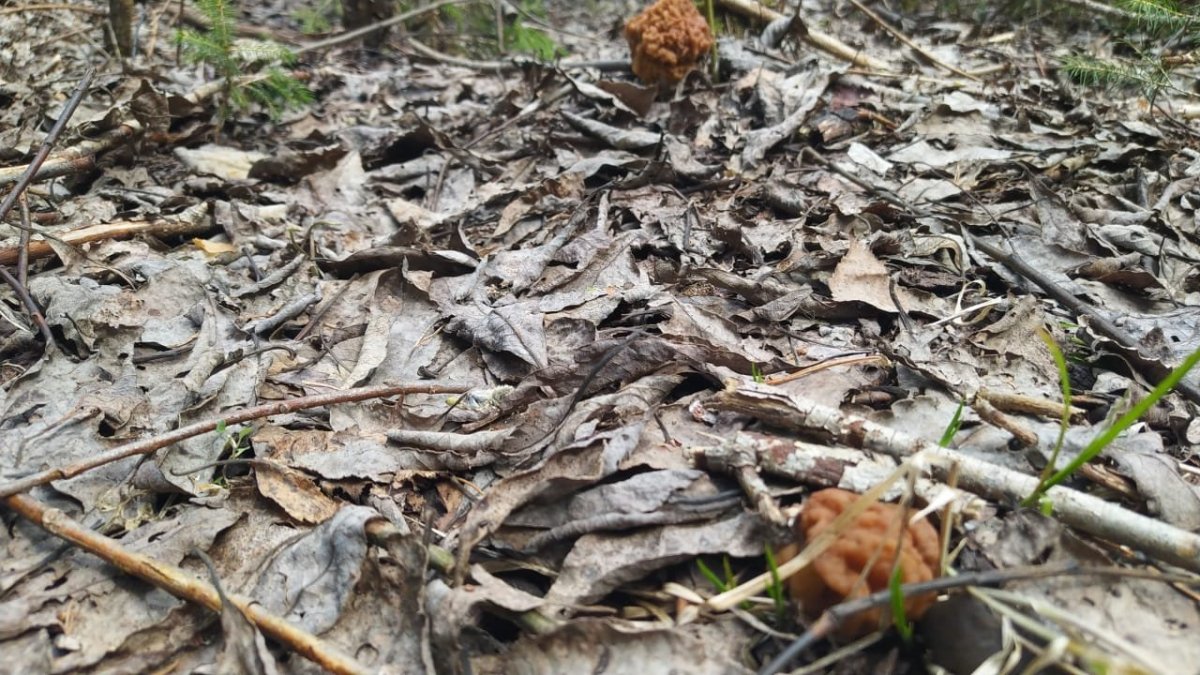 WhatsApp Image 2023-05-07 at 22.20.07(1).jpeg