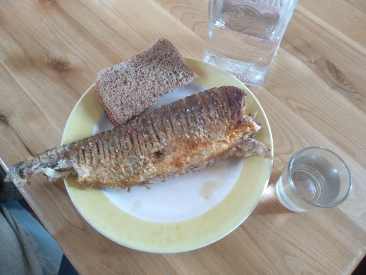 WhatsApp Image 2023-05-10 at 19.21.47.jpeg