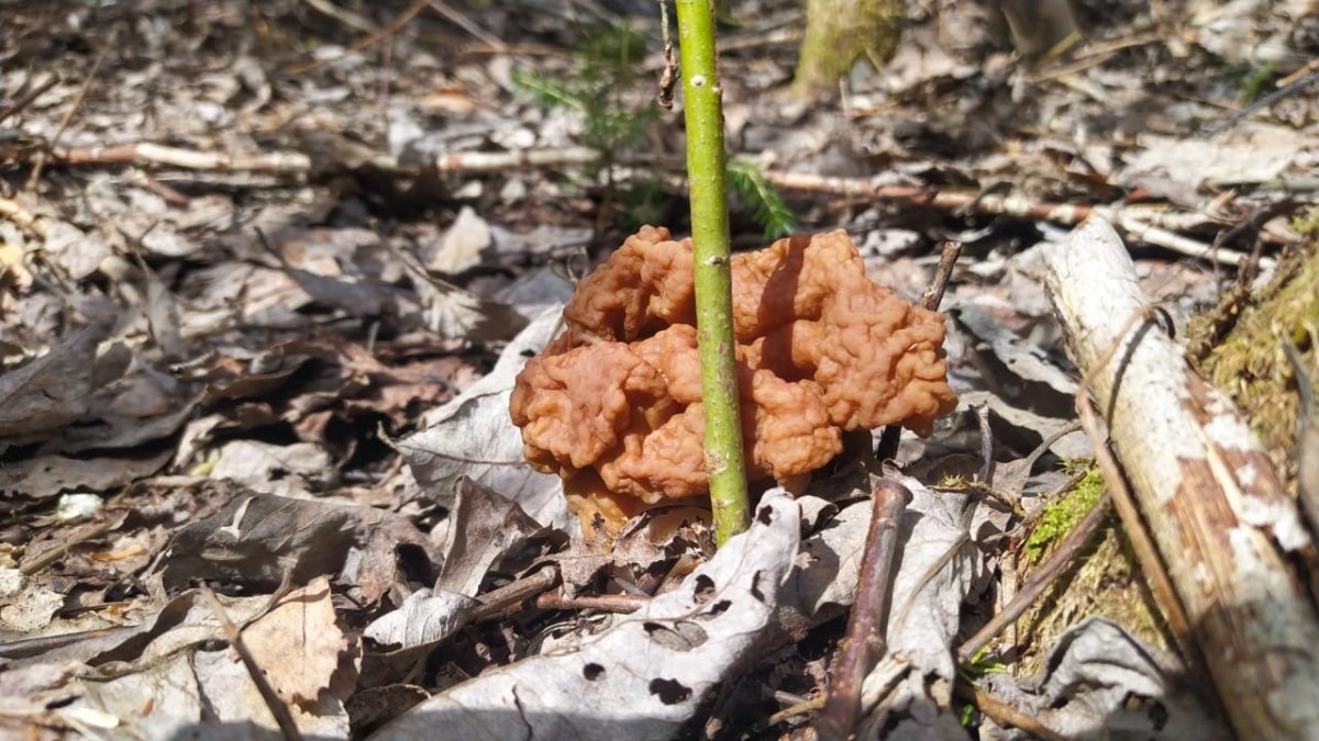 WhatsApp Image 2023-05-07 at 22.20.08.jpeg