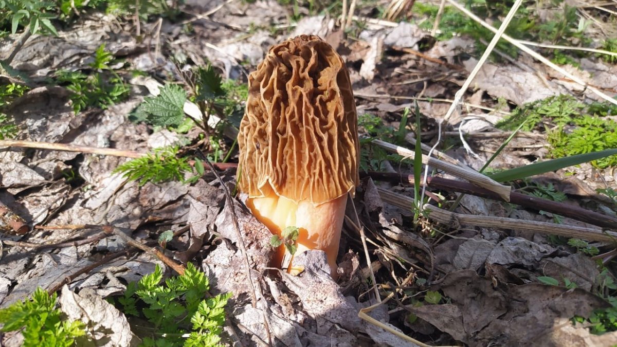 WhatsApp Image 2023-05-07 at 22.20.08(1).jpeg