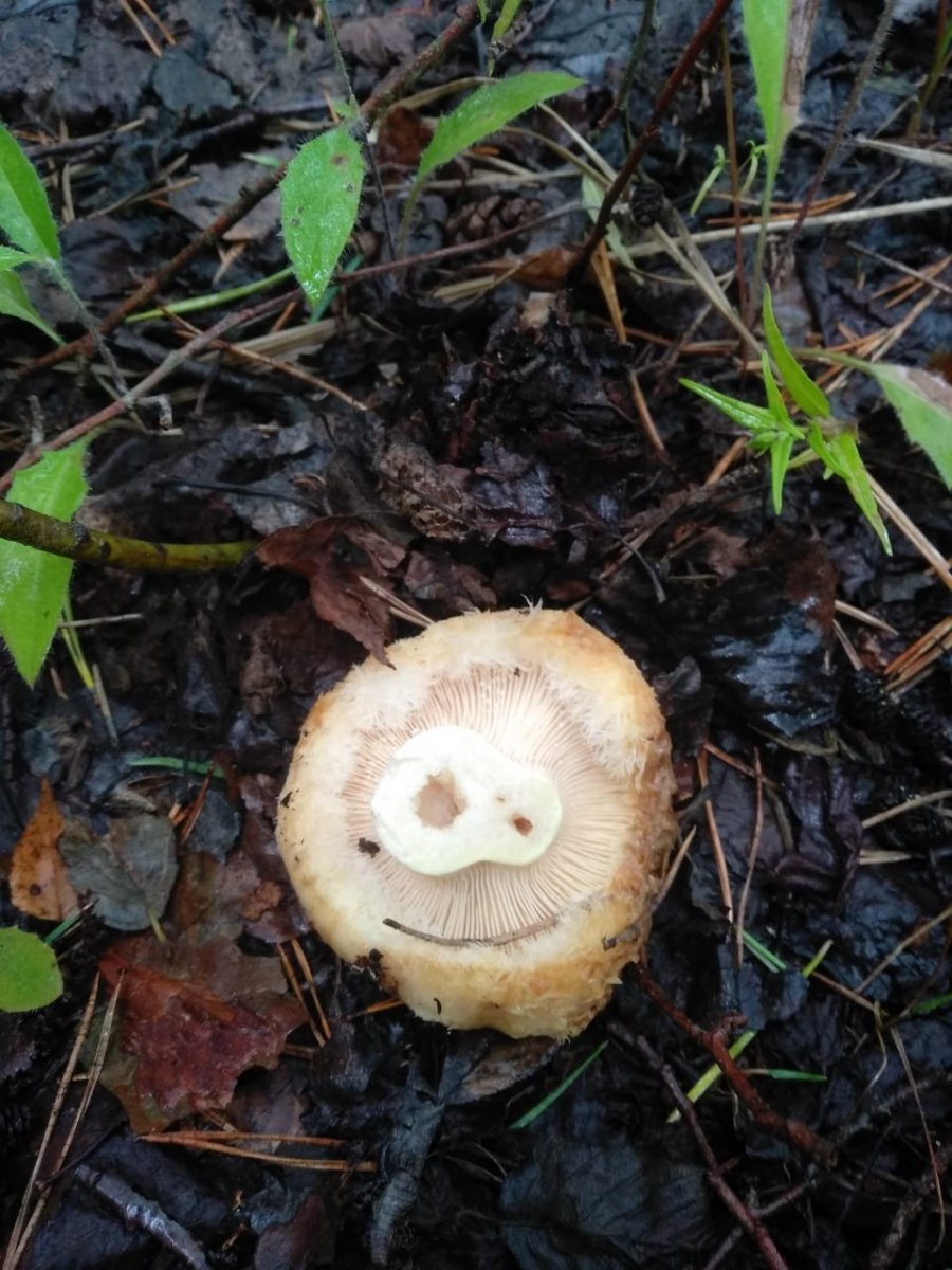 WhatsApp Image 2023-07-28 at 13.25.39.jpeg