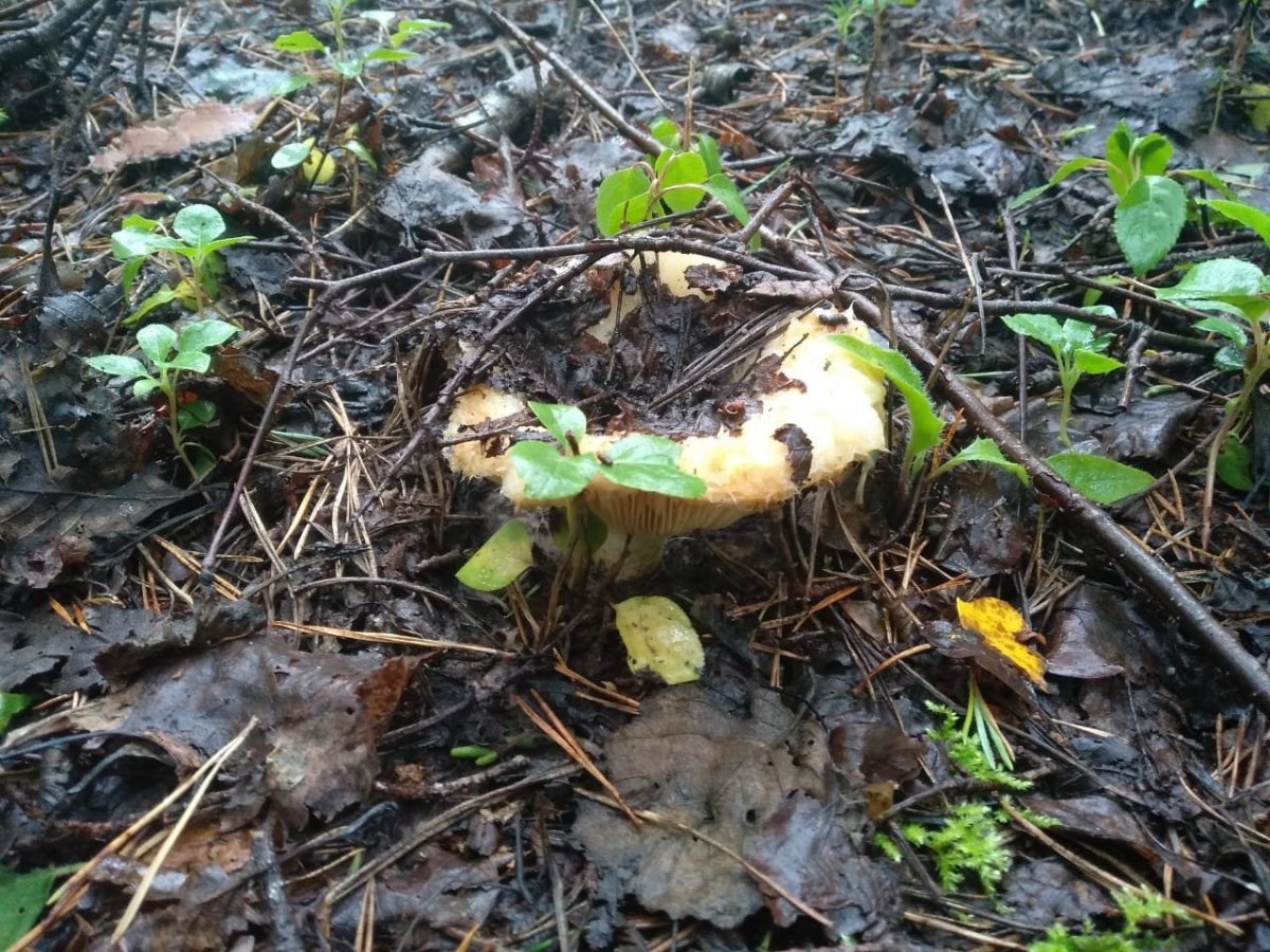 WhatsApp Image 2023-07-28 at 13.25.38(2).jpeg