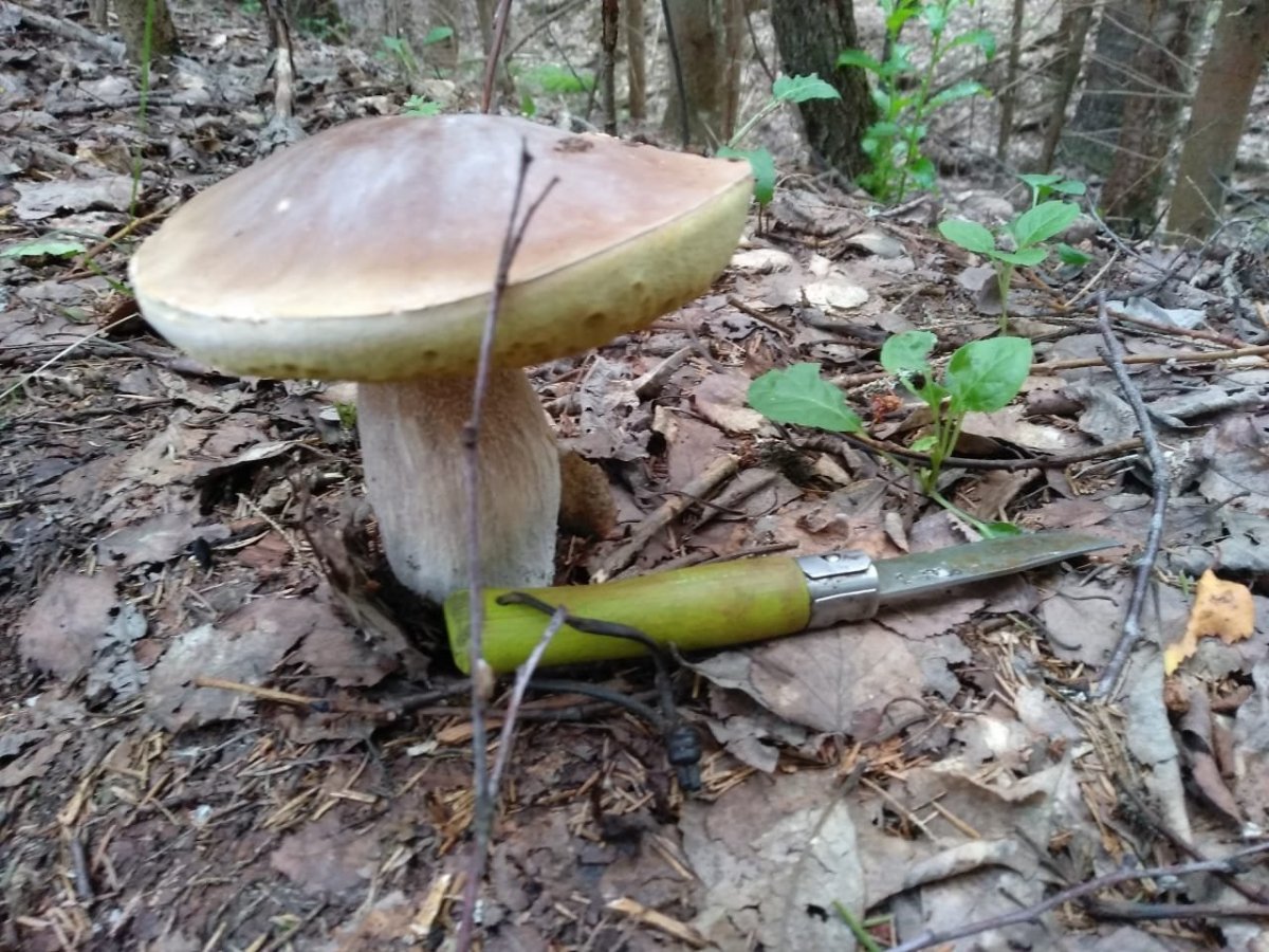 WhatsApp Image 2023-07-22 at 19.43.03(1).jpeg