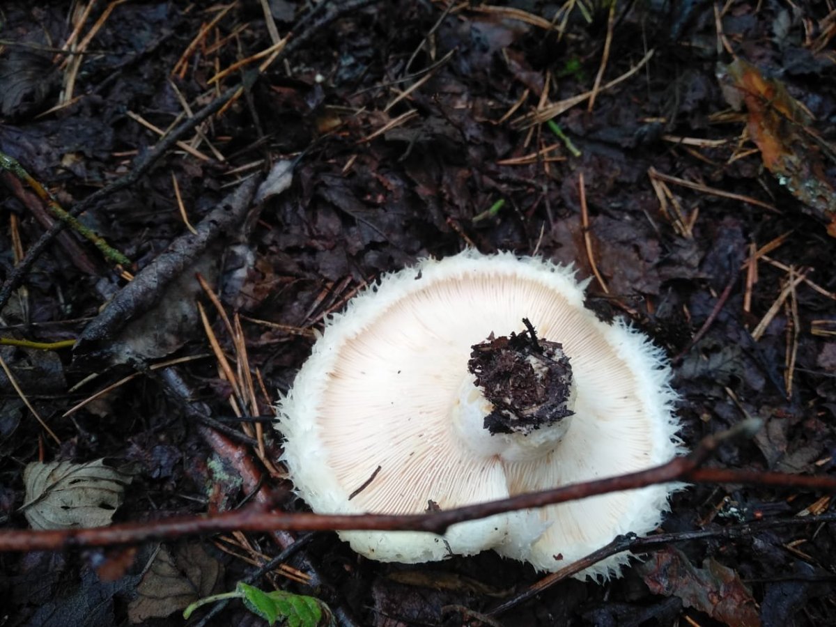 WhatsApp Image 2023-07-28 at 13.25.38.jpeg