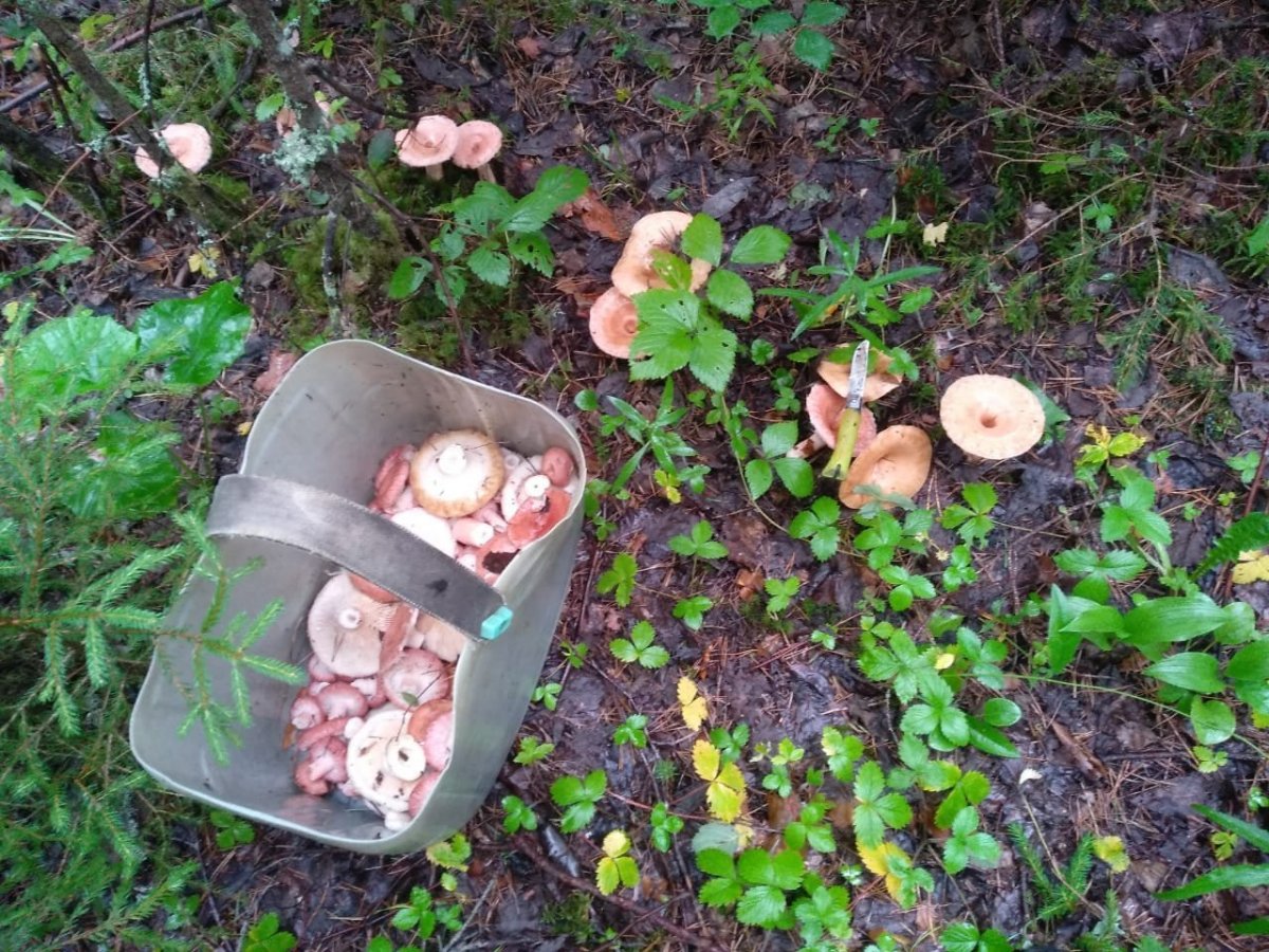 WhatsApp Image 2023-07-28 at 13.25.37.jpeg