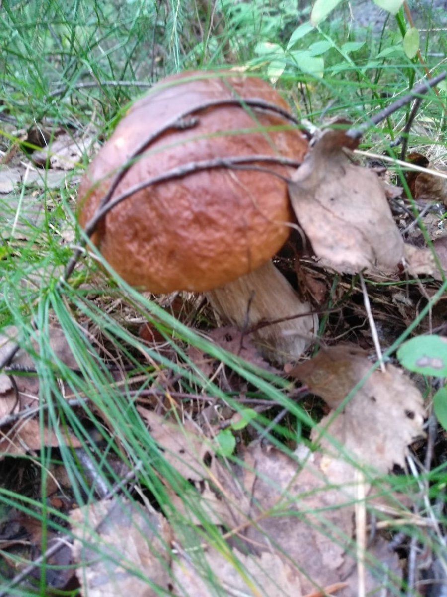 WhatsApp Image 2023-07-22 at 19.43.08.jpeg