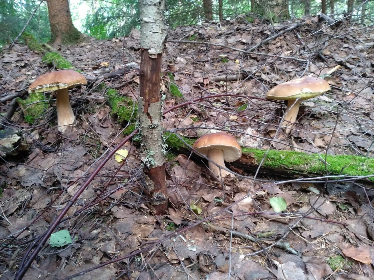 WhatsApp Image 2023-07-22 at 19.43.07.jpeg