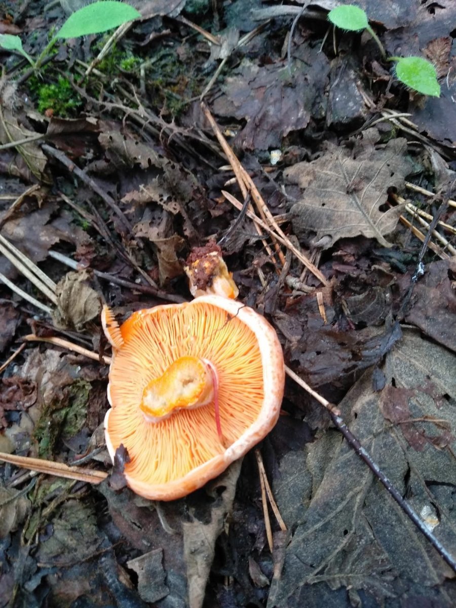 WhatsApp Image 2023-07-24 at 20.52.43.jpeg