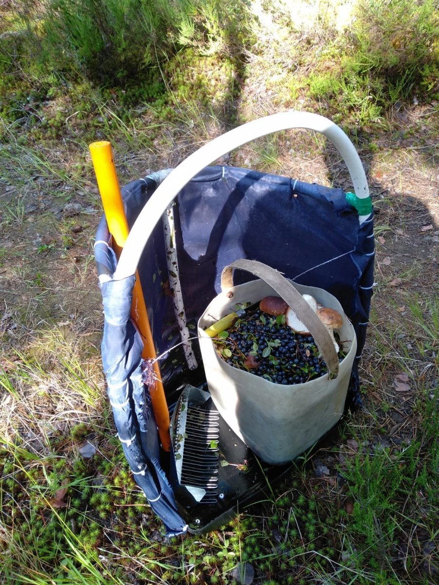 WhatsApp Image 2023-07-24 at 20.52.37.jpeg