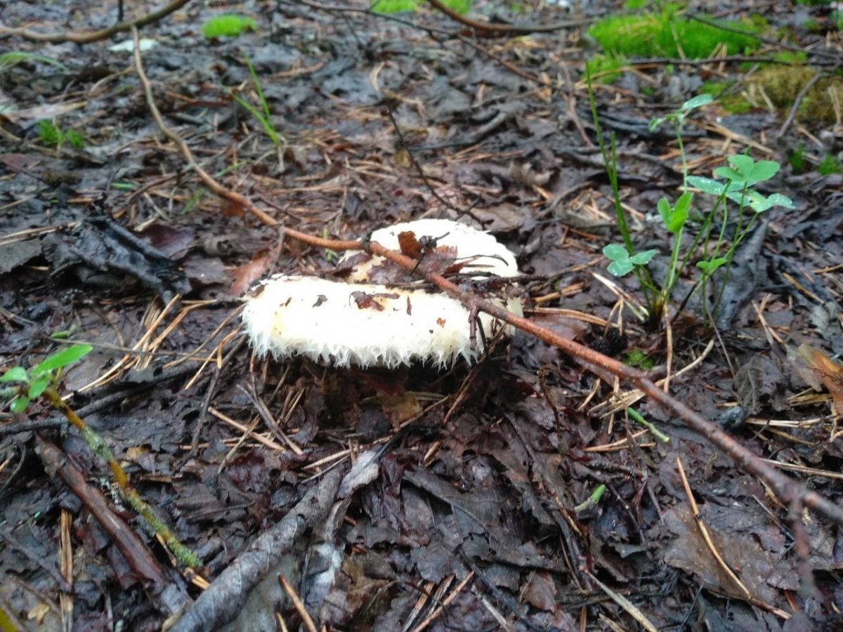 WhatsApp Image 2023-07-28 at 13.25.38(1).jpeg