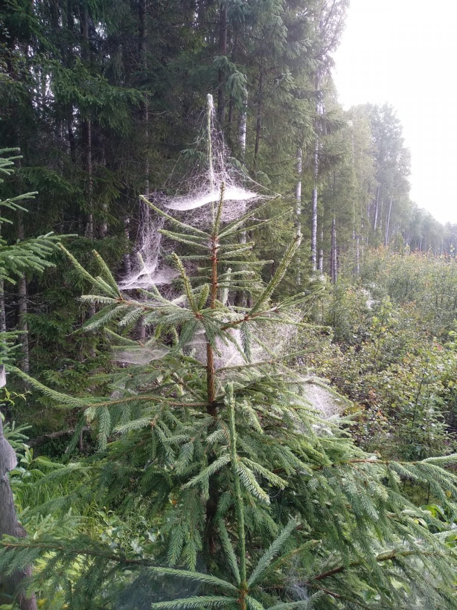 WhatsApp Image 2023-07-24 at 20.52.40.jpeg