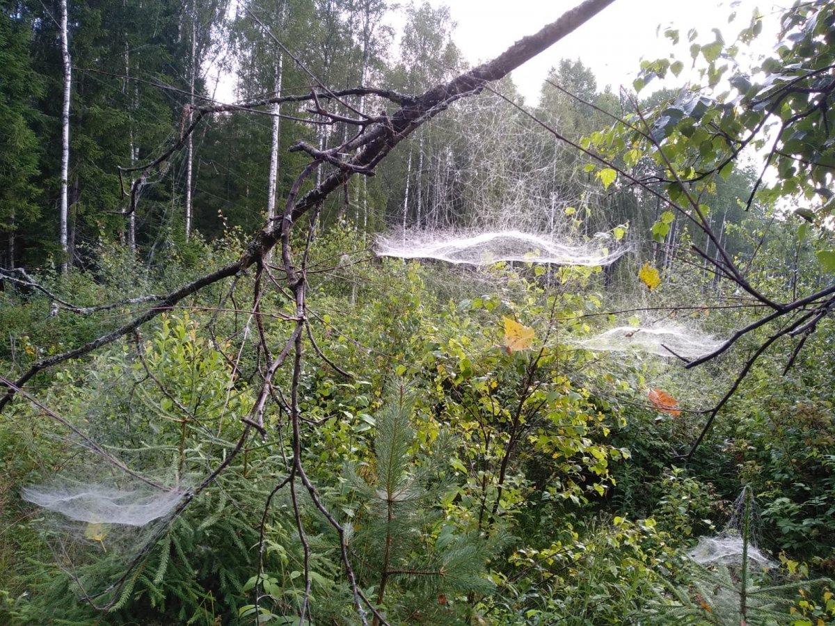 WhatsApp Image 2023-07-24 at 20.52.39.jpeg