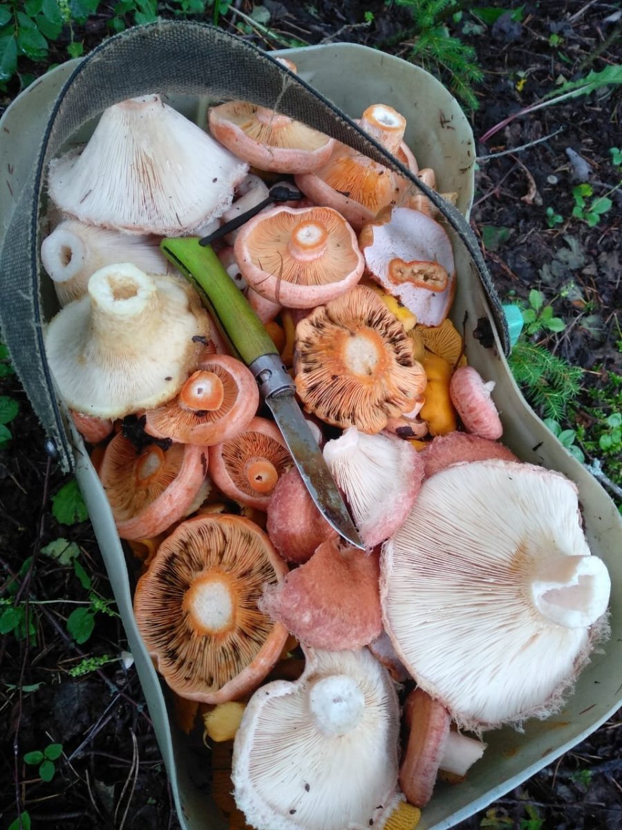 WhatsApp Image 2023-07-28 at 13.25.31.jpeg