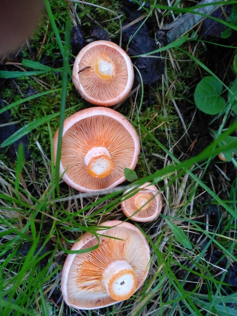 WhatsApp Image 2023-07-30 at 16.49.01(1).jpeg