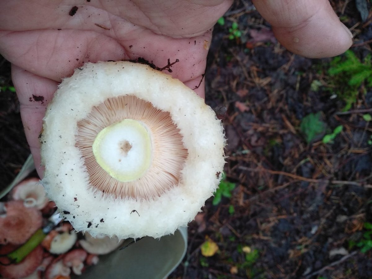 WhatsApp Image 2023-07-28 at 13.25.37(1).jpeg