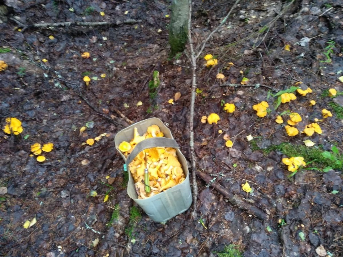 WhatsApp Image 2023-07-28 at 13.25.35.jpeg