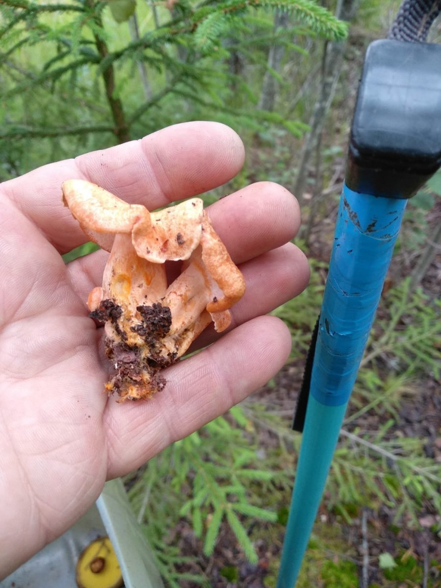 WhatsApp Image 2023-07-24 at 20.52.44(1).jpeg