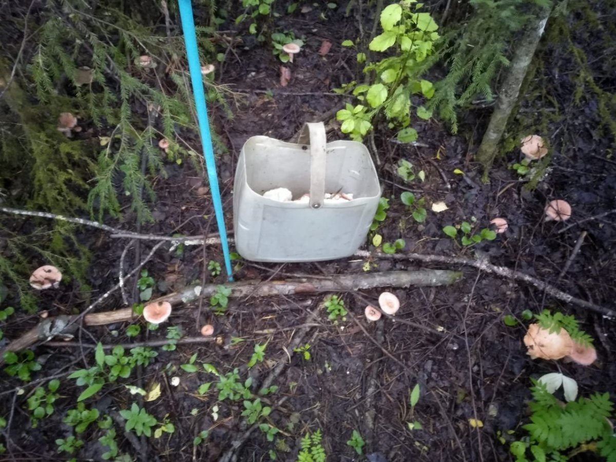 WhatsApp Image 2023-07-30 at 16.49.01.jpeg